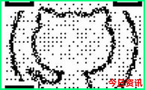 菲律宾海岛游排名